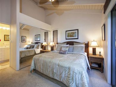 Wailea Condo 878367