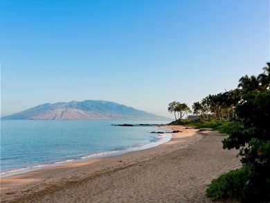 Wailea Condo 878367