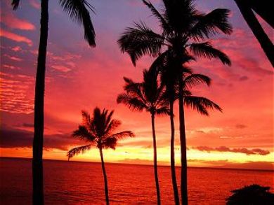 Amazing Sunsets
