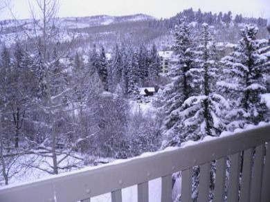 Beaver Creek Bachelor Gulch Condo 87840