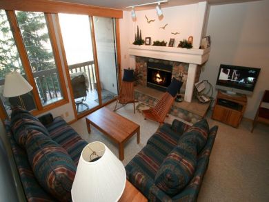 Living Area with Fireplace