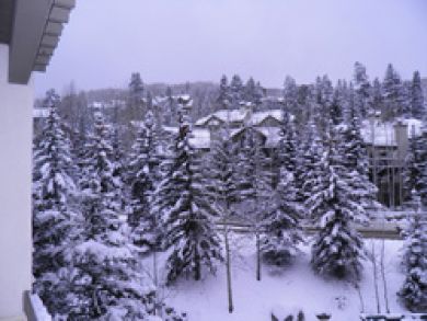 Ski in Ski Out Walk to Beaver Creek Village