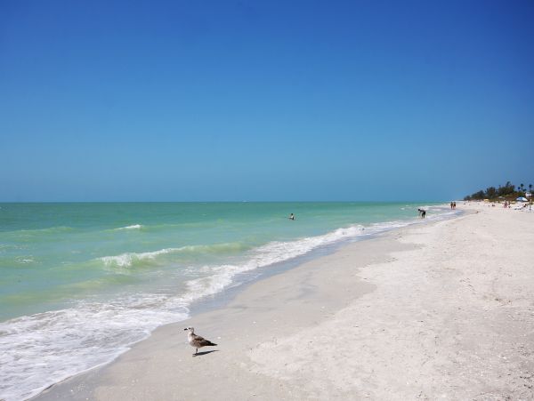 Beautiful Sanibel Vacation Condo - Communal Pool Beach Side Gulf-Front Retreat