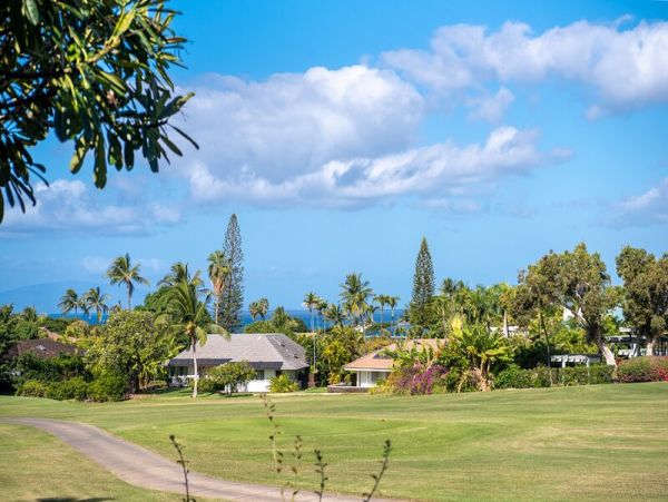 Short Walk to Beach Wailea Vacation Condo Two Bedrooms