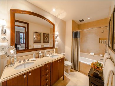 Bathroom with Shower in Tub