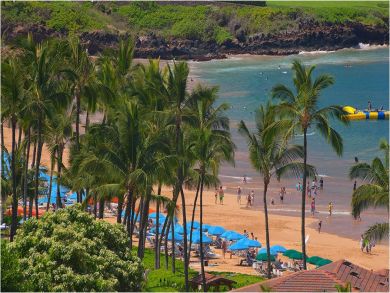 Beach View