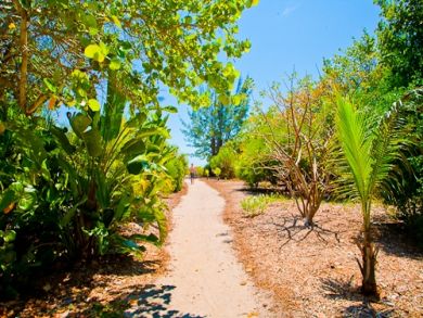 Beach Access