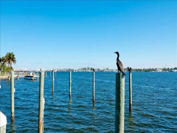 Bradenton Beach 2 Bedroom Vacation Rental Accommodation