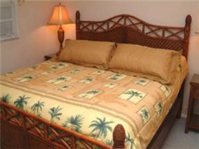 Guest bedroom with king bed