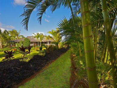 Tropical vegetation