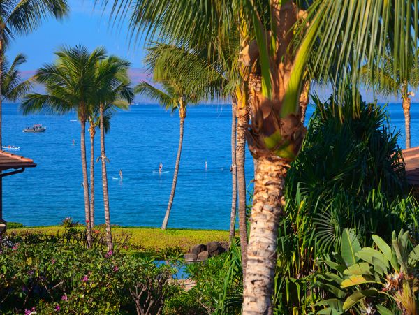 Three Bedroom Home with Ocean VIews - A Great Rental