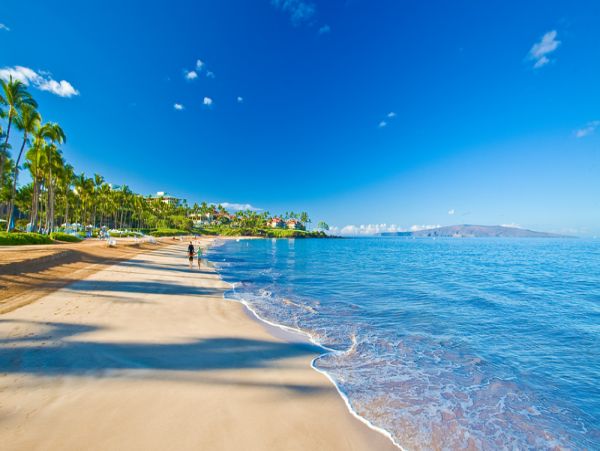 Three Bedroom Home with Ocean VIews - A Great Rental