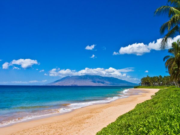 Three Bedroom Home with Ocean VIews - A Great Rental