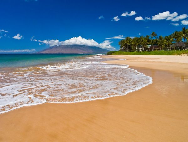 Three Bedroom Home with Ocean VIews - A Great Rental