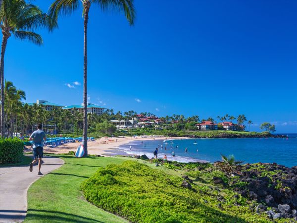 Luxury Wailea Vacation Rental - Maui Ocean View Villa with Terrace & Concierge
