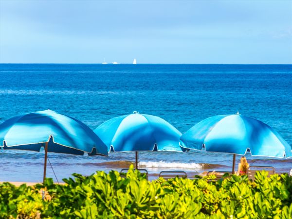Luxury Wailea Vacation Rental - Maui Ocean View Villa with Terrace & Concierge