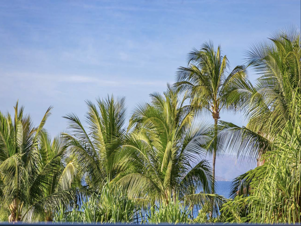 Three Bedroom Vacation Rental Views of the Pacific