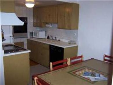 Vail Lionshead Condo 87924