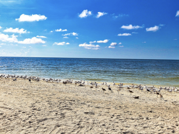 Sanibel Island Vacation Rental – Gulf Front Condo