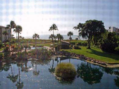 Great Sanibel Beachfront Vacation Rental Condo on Beach Great Sanibel Beachfront Vacation Rental Condo on Beach