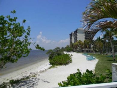Beach view