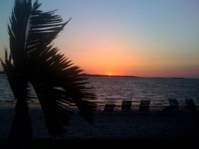 Beautiful sunset