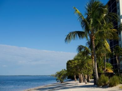 Beach and gulf view