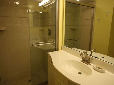 Guest Bathroom with Walk-in Shower