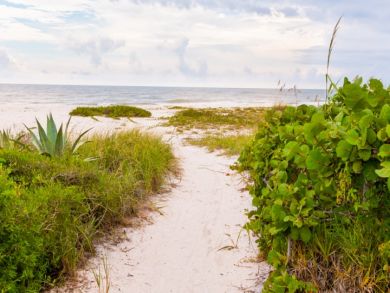 Cozy Sanibel Island One Bedroom Vacation Cottage Sleeps 4 Cozy Sanibel Island One Bedroom Vacation Cottage Sleeps 4