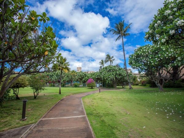 Beautifull Rental with 3 Bedrooms near Kalepolepo Beach