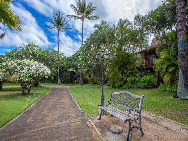 Beautifull Rental with 3 Bedrooms near Kalepolepo Beach