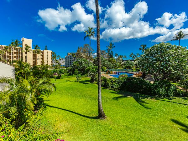 Beautifull Rental with 3 Bedrooms near Kalepolepo Beach