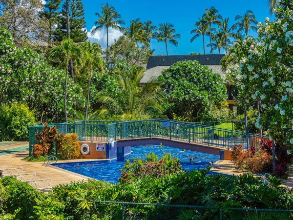 Beautifull Rental with 3 Bedrooms near Kalepolepo Beach