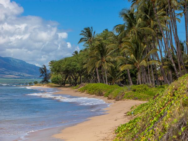 Beautifull Rental with 3 Bedrooms near Kalepolepo Beach