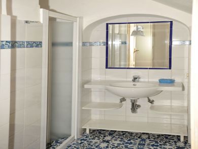 Lower level bathroom with shower