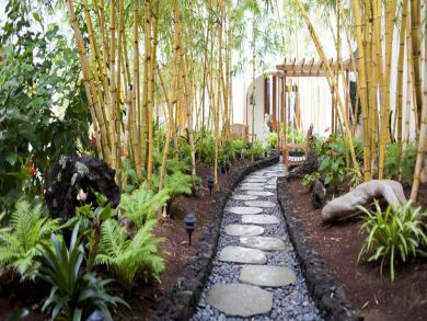 Bamboo garden