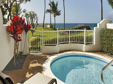 Private patio with plunge pool & BBQ grill