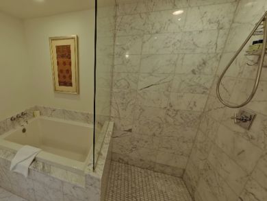 Bathroom with separate tub and shower
