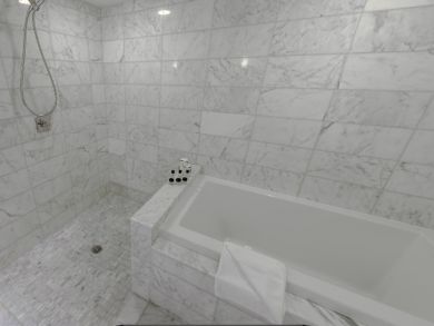 Bathroom with separate tub and shower