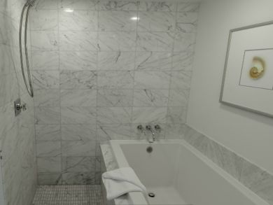 Bathroom with separate tub and shower