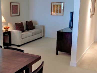 Den with sleeper sofa & flat screen TV