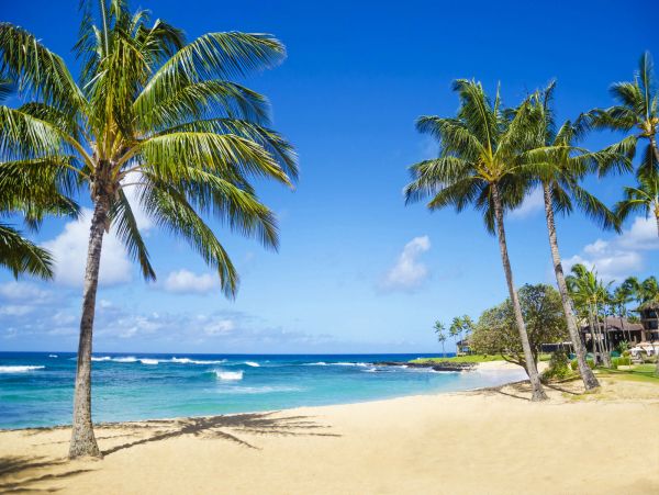 Luxury Poipu Walk to Beach Three Bedroom Vacation Villa