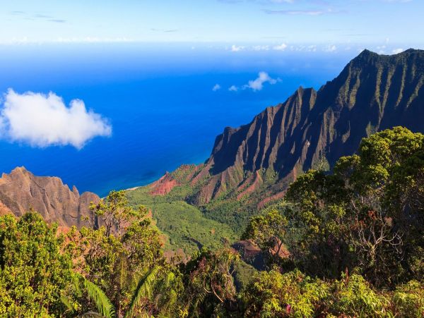 Kauai Luxury Four Bedroom Oceanfront Vacation Rental Home