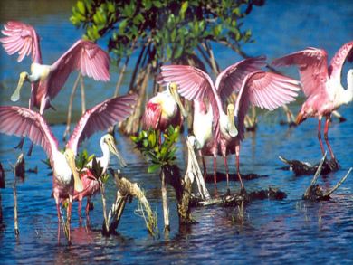 Complex is surrounded by a national wildlife refuge