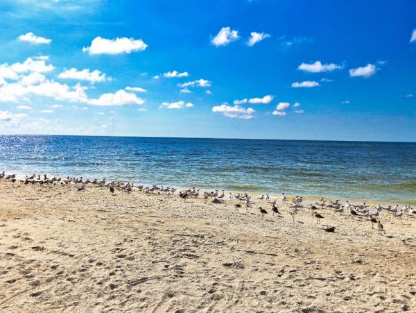 Gulf View Sanibel Condo 2 Bedrooms Sleeps 6 Communal Pool