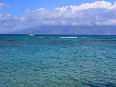 Magnificent Ocean View