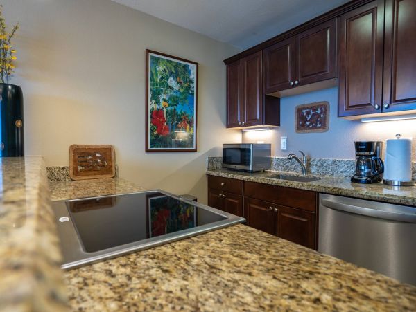 Kahana One Bedroom Rental with Fantastic Oceanfront Views