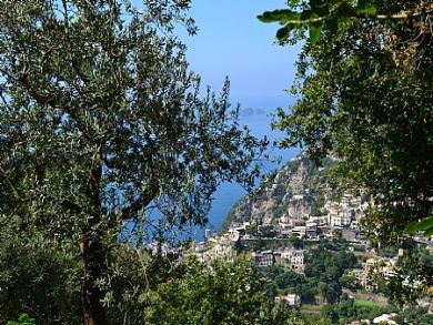 View Of The Coast