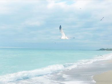 Breathtaking Gulf Views Two Bedroom Condo in Siesta Key