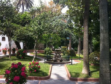 Garden with fountain